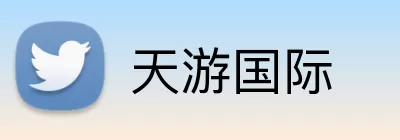天游国际 Logo